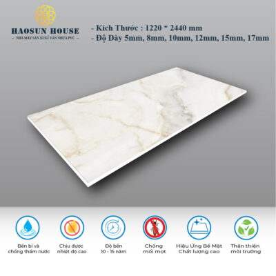 Tấm Nhựa PVC Vân Đá HS006 Haosunhouse