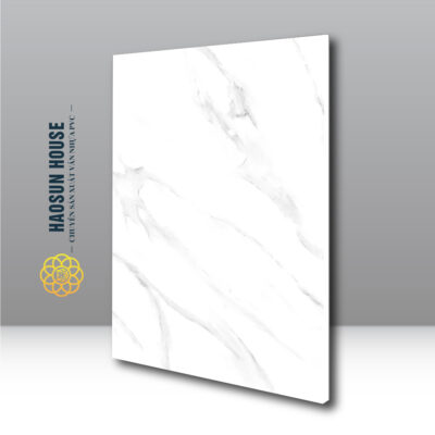 Tấm Nhựa PVC Vân Đá HS008 Haosunhouse