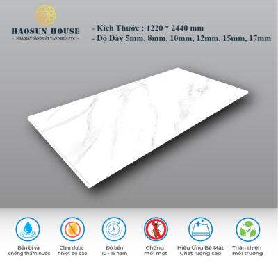 Tấm Nhựa PVC Vân Đá HS008 Haosunhouse