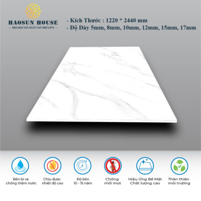 Tấm Nhựa PVC Vân Đá HS008 Haosunhouse