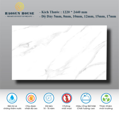 Tấm Nhựa PVC Vân Đá HS008 Haosunhouse
