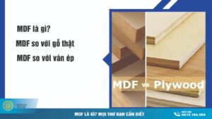 MDF là gì