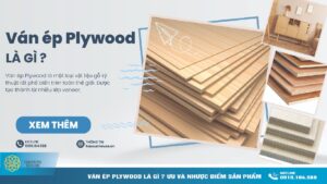 Ván ép Plywood là gì