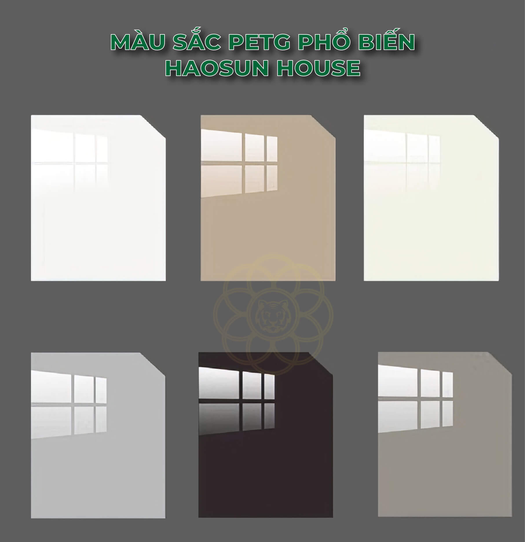 Mẫu Tấm Nhựa Bóng PVC đen Haosun House