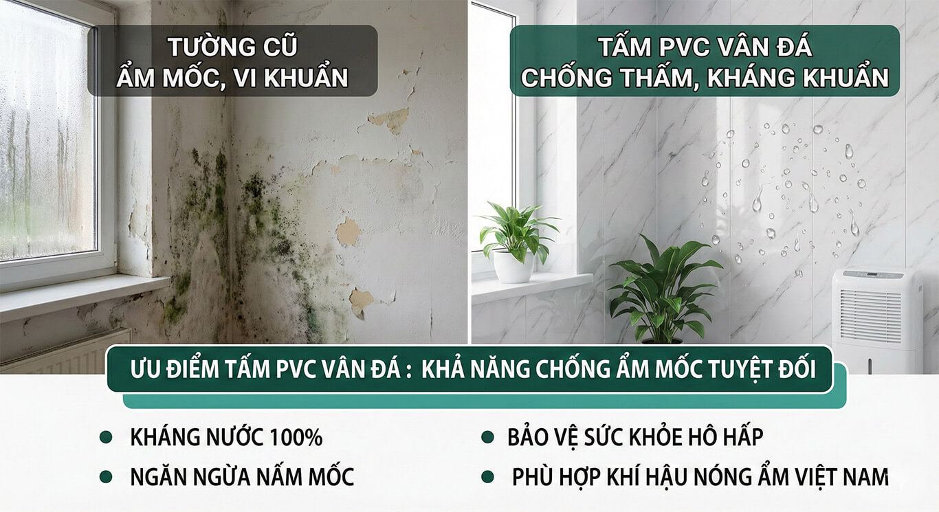 Khả năng chống ẩm mốc của vật liệu ốp tường chống thấm
